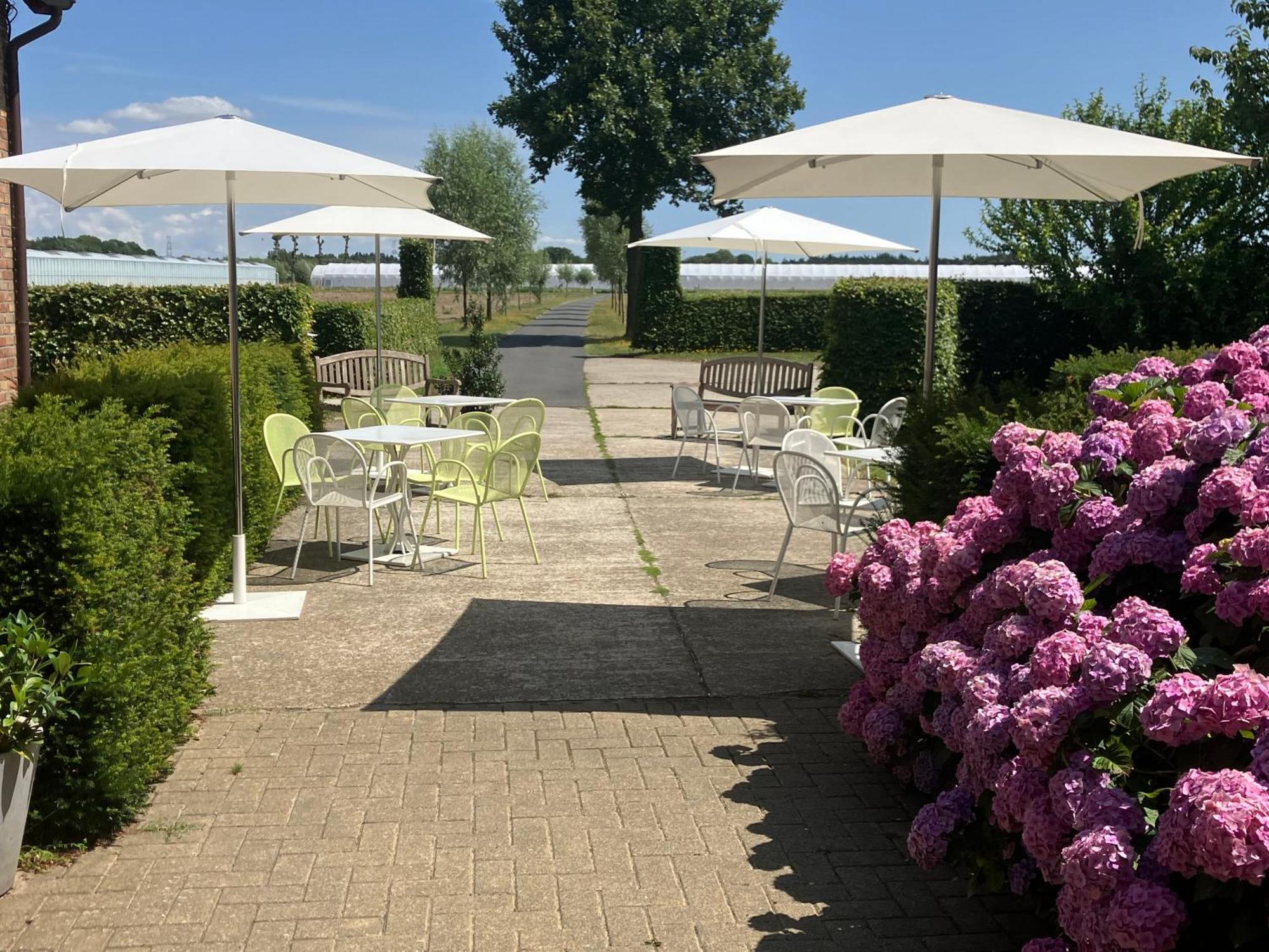 Tannine Et Cuisine Villa Jabbeke  Bagian luar foto